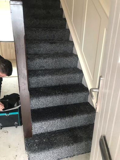 Carpet