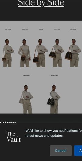 Louis vuitton