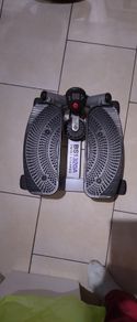 BS1320A Twist Stepper