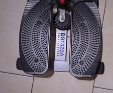 BS1320A Twist Stepper
