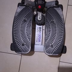 BS1320A Twist Stepper