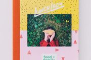 Lunch Lady Magazine Book Series Issue 14