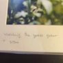 John lennon framed print watching the grass grow NIC 2010 limited edition 3 /500 42.5 x 33 cm. Image 2