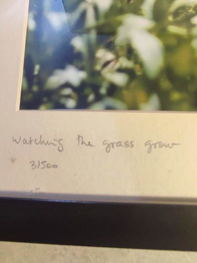 John lennon framed print watching the grass grow NIC 2010 limited edition 3 /500 42.5 x 33 cm.