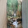 Stopping by the Woods A guide to the 315 Forests and Woodlands of Ireland by Donal Magner in very good condition with some signs of wear on the cover FREE STANDARD POSTAGE INCLUDED Image 7