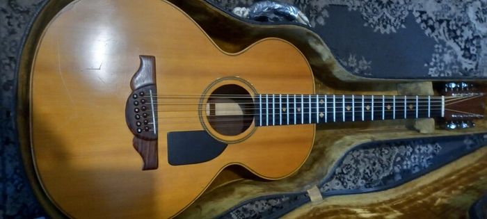 Custom Handmade small Jumbo 12 string Acoustic - TRADES CONSIDERED