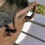 Old Antique cast iron pot Image 3
