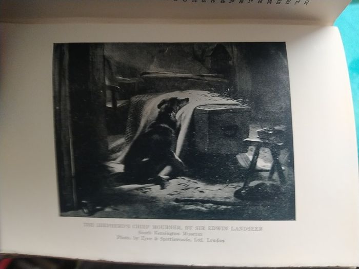 The Book of Noble Dogs - Estelle Ross