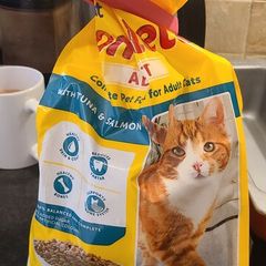 Cat food