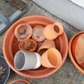 Garden pots  n items clearout Image 2