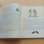 Ancient Folk Tales of Ireland Image 2