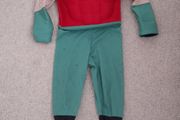 Robin costume