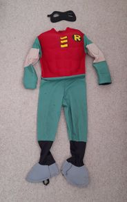 Robin costume