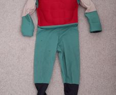 Robin costume