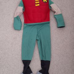 Robin costume