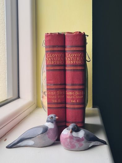 Scarce Lloyd's Natural History - 1896/7, 2 Vol. Set. Free Postage.
