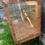 Bird cage Image 4