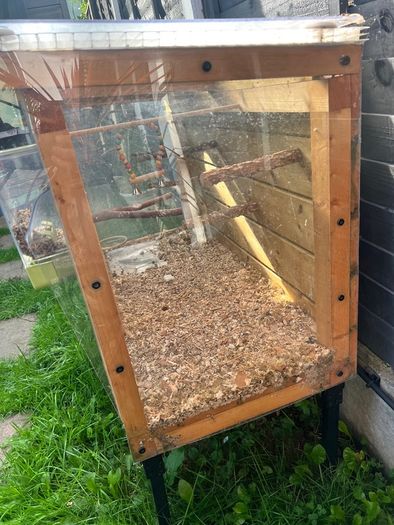 Bird cage