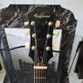 1978 epiphone Nova 180 acoustic guitar made in japan Image 3