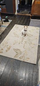 Rug