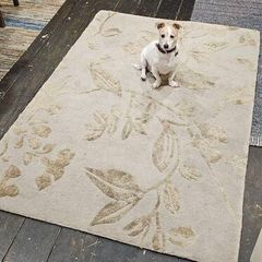 Rug