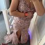 dres size 8 10 Image 3