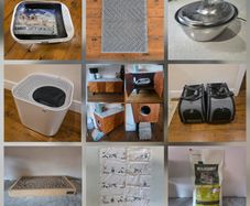 Various Cat Accessories