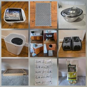 Various Cat Accessories