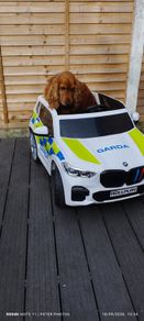 Ride on  Garda car