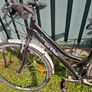 ladies bicycle Image 2