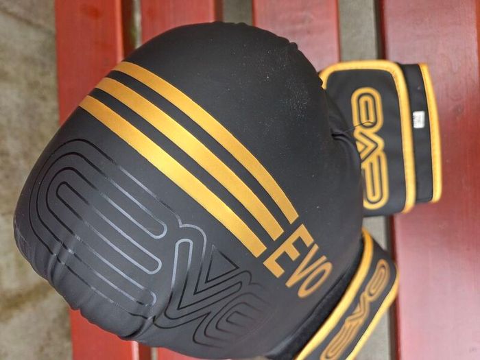Boxing Gloves and Pads Set