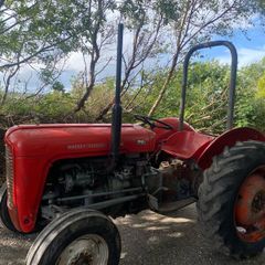 Massey Ferguson 35x