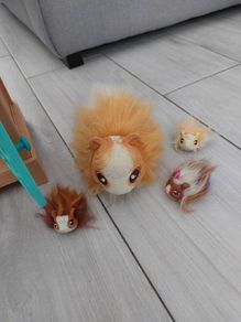 Hamster house