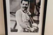 Framed Freddie Mercury Print