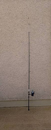 Fishing rod with reel