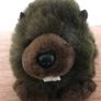New Soft Canadian Moose and Beaver Image 6