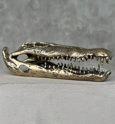 Saltwater Crocodile Skull - Polished Bronze