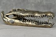 Saltwater Crocodile Skull - Polished Bronze
