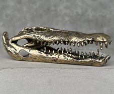Saltwater Crocodile Skull - Polished Bronze