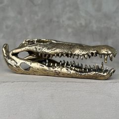 Saltwater Crocodile Skull - Polished Bronze