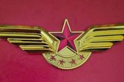 Large size china airlines crew badge.
