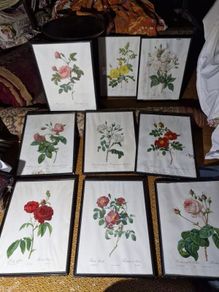 Set of 9 antique botanical prints by Redoute, framed