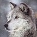 vwoof