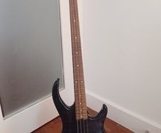 Peavey Millenium AC BXP Active Bass