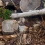 Firewood  For Sale Image 5