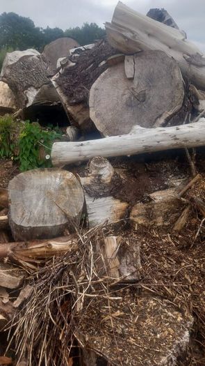 Firewood  For Sale