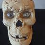 Skull /Gothic home  decor Image 4