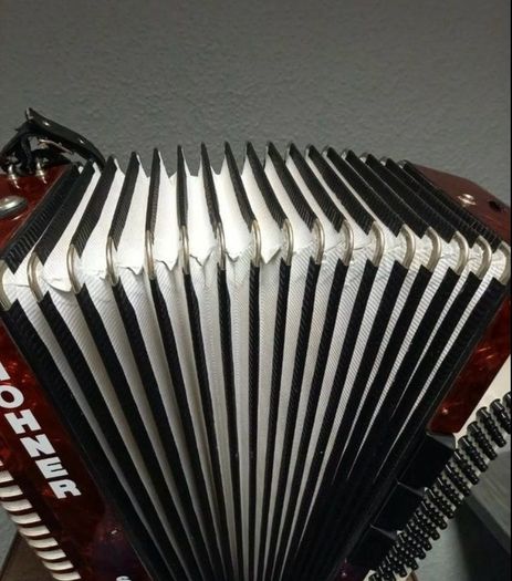 Hohner Accordion with Case