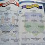 2005 All Ireland Camogie match programme (postage included) Image 2