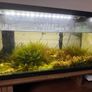 Fish tank with stock (110l) Image 3